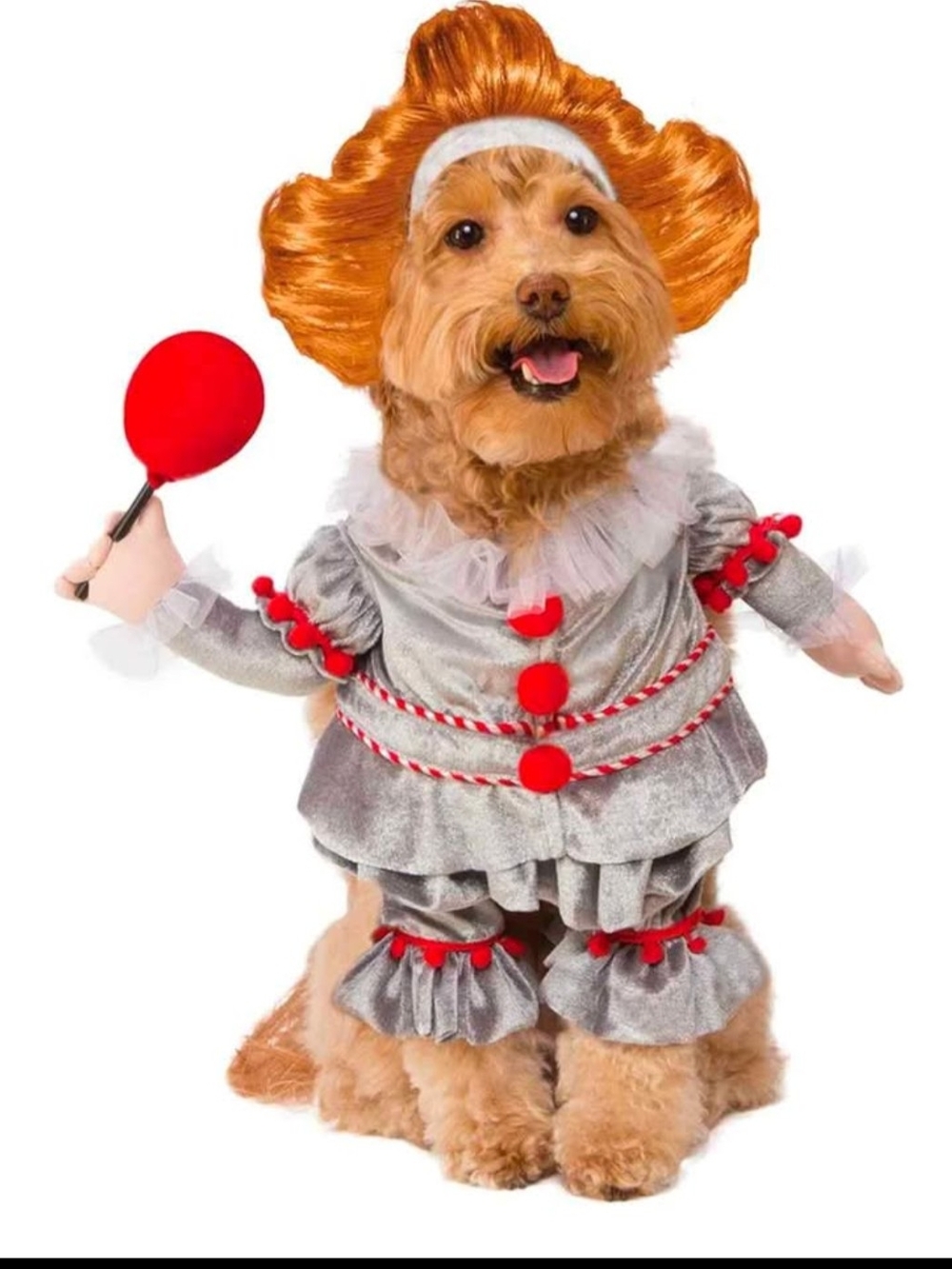 IT Dog Costume-Medium